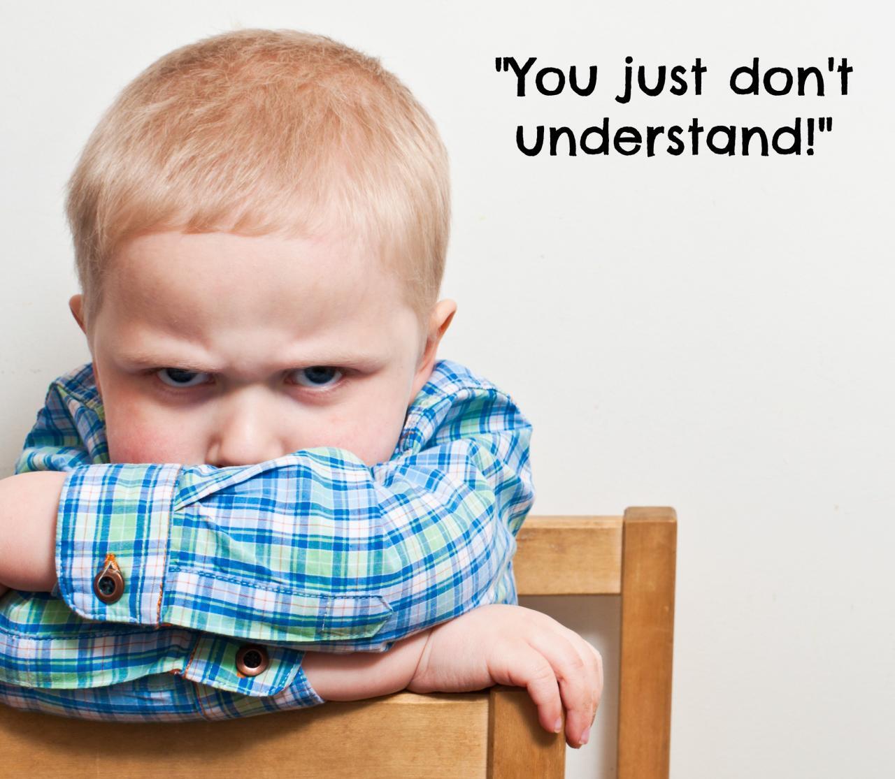 You Just Don't Understand!