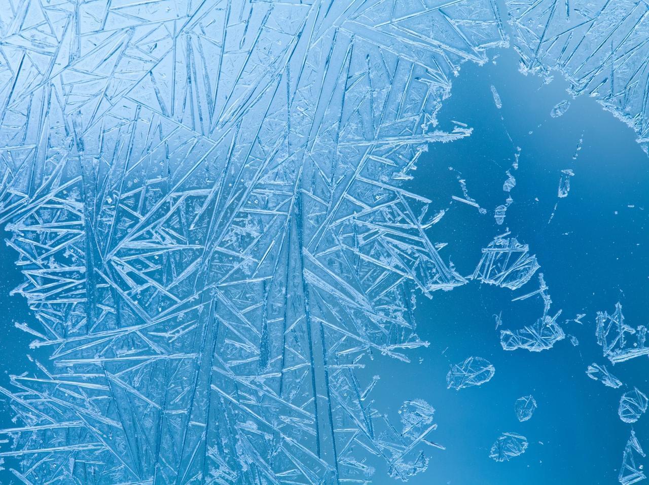 Fight, flight or freeze: don’t forget the ‘freeze’ – The Daily Free Press